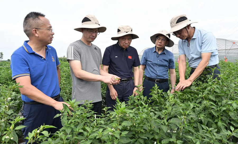 中国工程院院士邹学校一行考察好博(中国)体育智能科技股份有限公司网站兴蔬种业基地