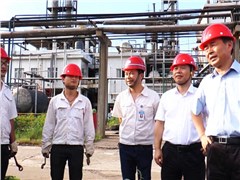 副省长戴道晋莅临好博(中国)体育智能科技股份有限公司网站株洲公司检查调研安全生产工作