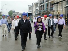 省委常委、常务副省长陈肇雄视察好博(中国)体育智能科技股份有限公司网站常德公司